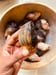 Image of 🧞‍♂️Genie Spiritual Soap 