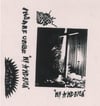 INSANE URGE 'My America' cassette