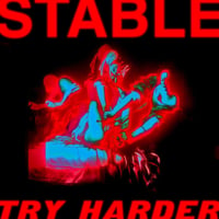 Image 1 of Stable - Try Harder (V05)