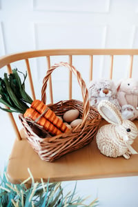 Image 3 of Easter Live Bunny Photo Minis-Deposit Only