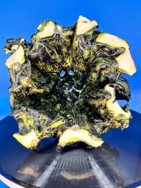 Image 5 of Johnny Rotten