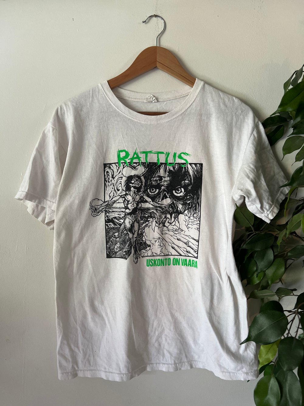 Image of Rattus
