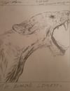 THE ROARING LIONESS