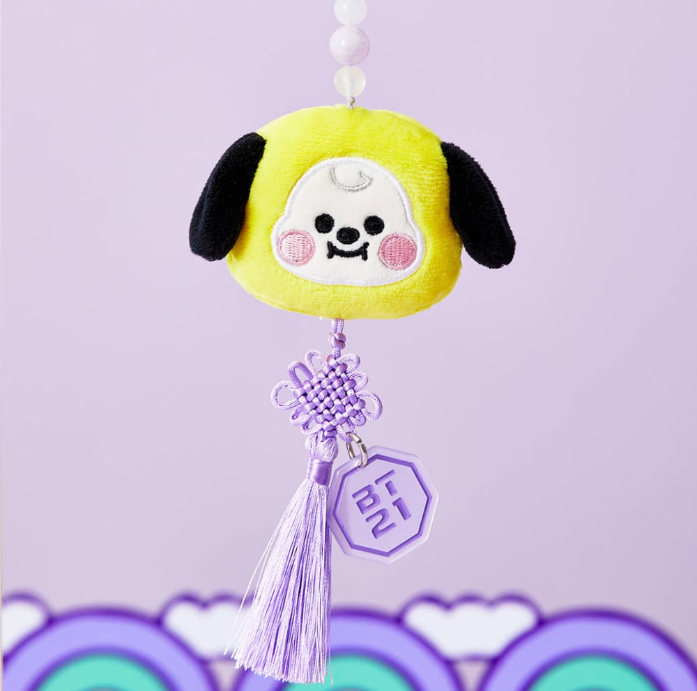 Image of Baby Chimmy!