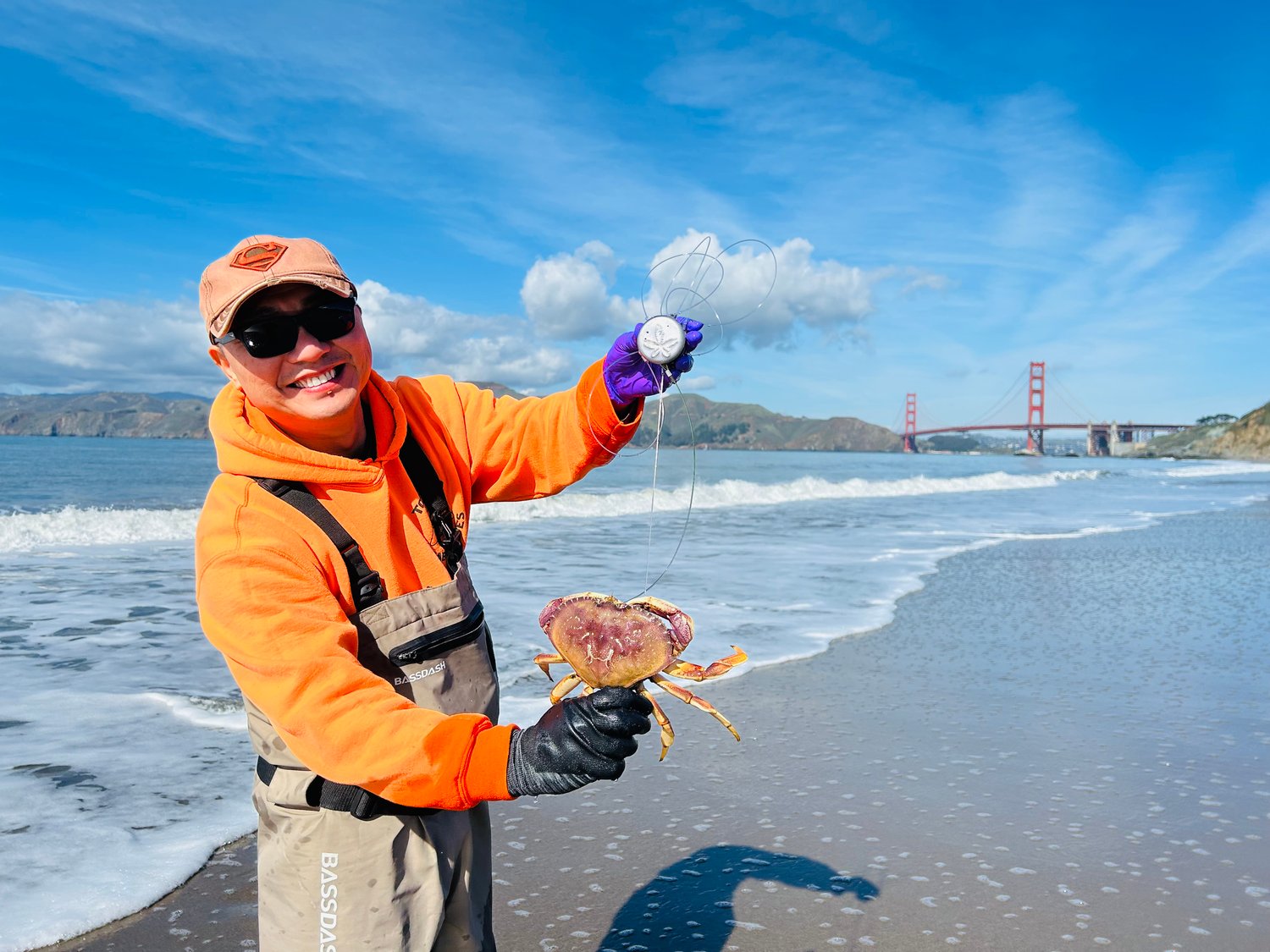 Image of The Sanddollar Torpedo Crab Snares