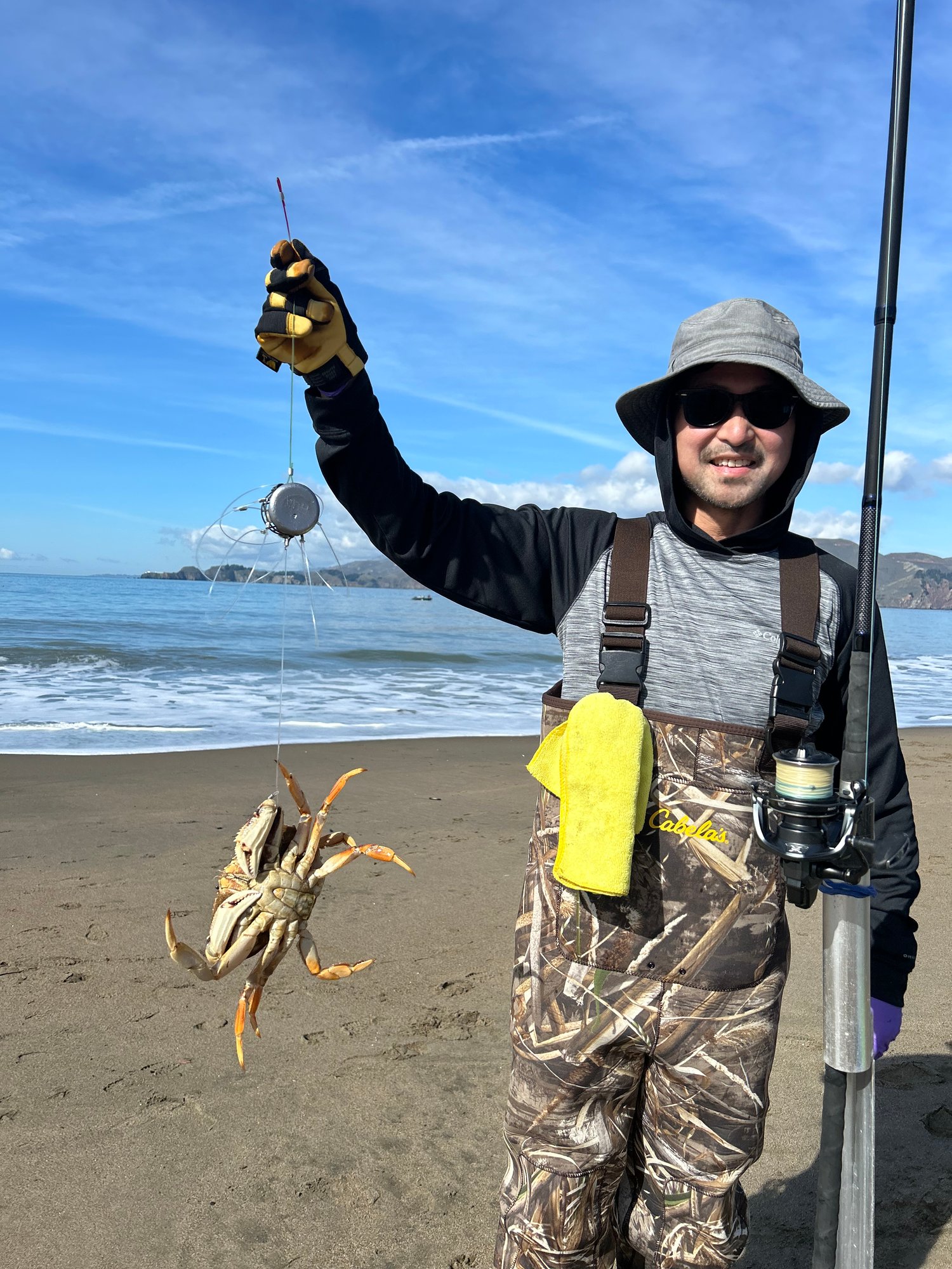 Image of The Sanddollar Torpedo Crab Snares