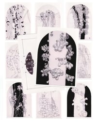 Cauliflora Postcard Set