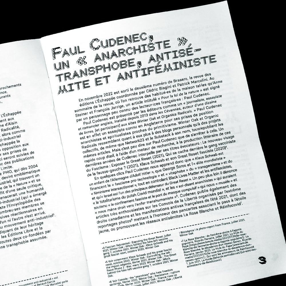 Le naufrage réactionnaire du mouvement anti-industriel 