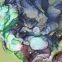 Image 3 of MAGNOLIA 2