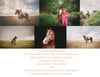 Equestrian photoshoot offer