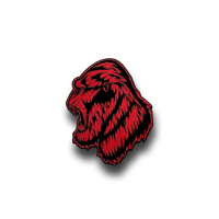 Image 2 of KONG patch