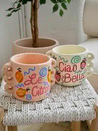 Image 3 of Ciao Bella Plant Pot