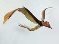Image 1 of MATTHIEU DAGORN - Bird 1
