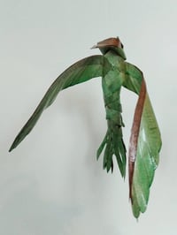 Image 1 of MATTHIEU DAGORN - Bird 2