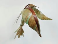 Image 1 of MATTHIEU DAGORN - Bird 4