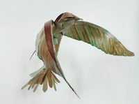 Image 4 of MATTHIEU DAGORN - Bird 4