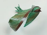 Image 3 of MATTHIEU DAGORN - Bird 7