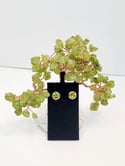 Peridot Earring Studs