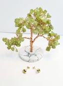 Peridot Earring Studs