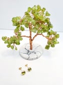 Peridot Earring Studs
