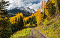 Road to Paradise