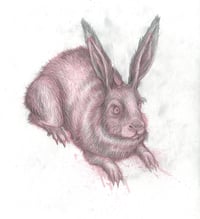 Image of Silkscreen Go Vegetarian Bloody Hare