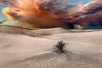 Storm Clouds on the Horizon 