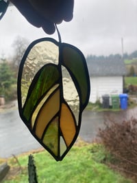 Image 3 of Custom Pothos leaf