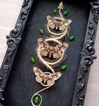 Image 2 of Large! Indo-Chinese rat snake with moths and beetles