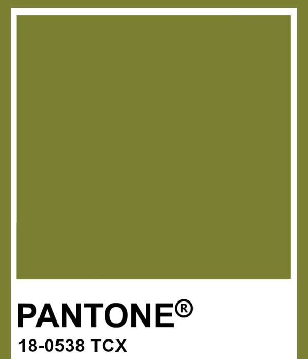 Spring Olive Ostrich "Selene" Size S Image 4