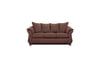 Brown Sleeper