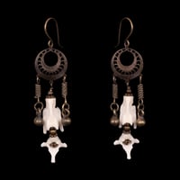 "Dora" Vertebrae Bone Earrings