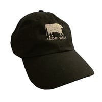 Image 1 of friday walk hat