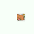 ‘Dandelion Bun’ 🌼 Mini-Zine Image 2