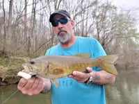 Image of CK Baitfish