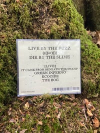 Image 2 of LIVE BY THE FUZZ CD