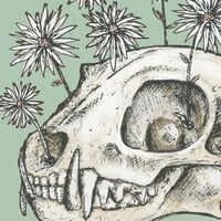 Image 3 of Skull And Plants Giclee Print on Green 