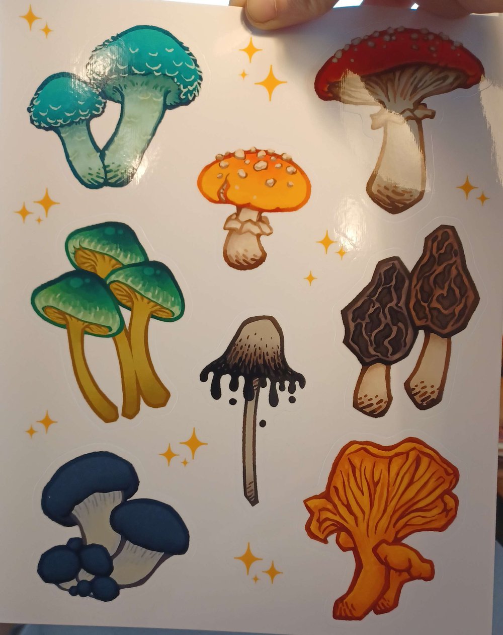 Image of Mushrooms sticker sheet