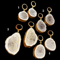 Image 2 of Antler Slice earrings