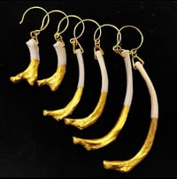 Badger Rib earrings