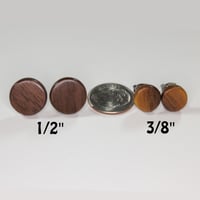 Image 4 of Walnut Hardwood Earrings