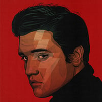 Image 1 of Elvis TCB
