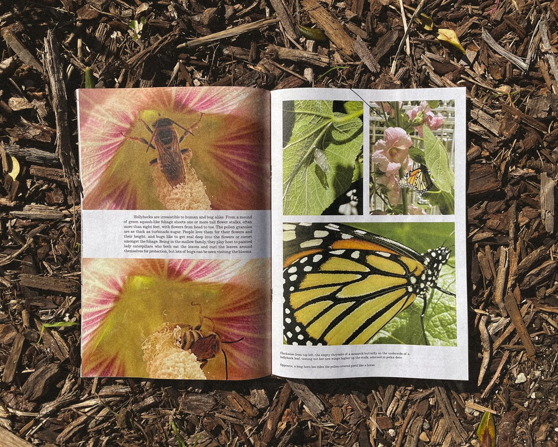 Image of BUGUE - Issue No. 1