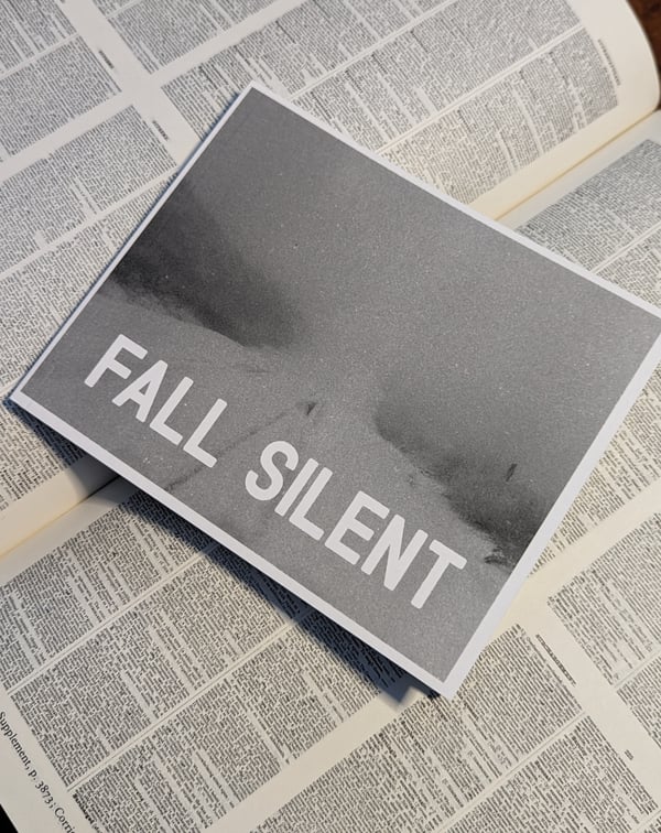 Image of Fall Silent (Book)