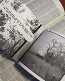 Image 3 of Fall Silent (Book)