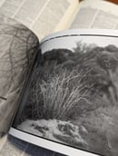 Image 5 of Fall Silent (Book)