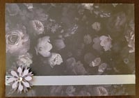 Image 2 of Meg's Flowers