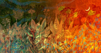 Image 1 of Dusky Transitions