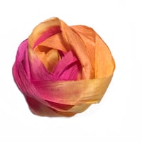 Image 3 of 10YD. DRAGON FRUIT  HAND DYED RECYCLED SARI SILK RIBBON BUNDLES by COLOR KISSED SILK