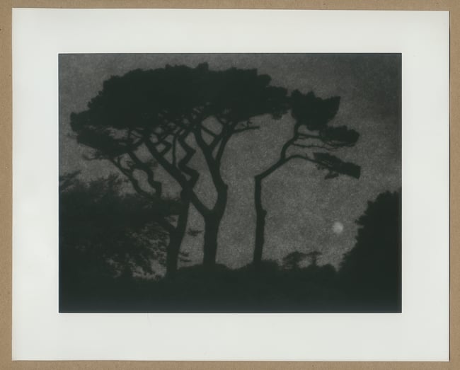 Hazy moon, Cornwall.